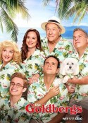 戈德堡一家 第七季 The Goldbergs Season 7            (2019)