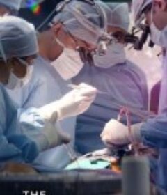 外科医生是怎样练成的 The Surgeon's Cut            (2020)