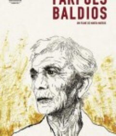 谷仓，荒地 Farpões, baldios            (2017)