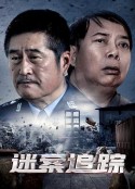 迷案追踪            (2020)