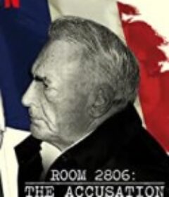 2806号房：震撼控诉 Room 2806: The Accusation            (2020)