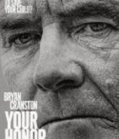 法官大人 Your Honor            (2020)