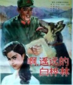 白桦林中的哨所            (1982)