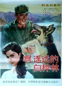 白桦林中的哨所            (1982)