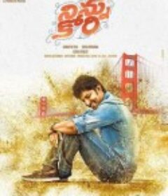 纏綿遊戲 Ninnu Kori            (2017)