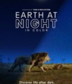夜色中的地球 第一季 Earth at Night in Color Season 1            (2020)
