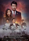 我是检察官            (2018)