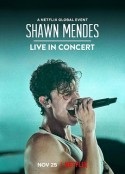 肖恩·门德斯：巡回演唱会纪实 Shawn Mendes: Live in Concert            (2020)