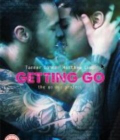 我为勾勾狂 Getting Go, the Go Doc Project            (2013)