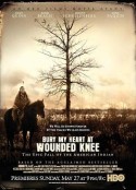 魂归伤膝谷 Bury My Heart at Wounded Knee            (2007)