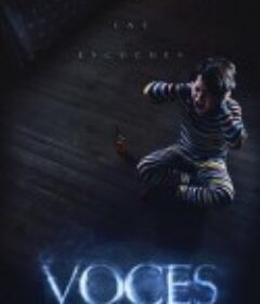 阴声 Voces            (2020)