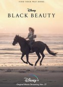 黑神驹 Black Beauty            (2020)