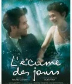 泡沫人生 L'écume des jours            (2013)