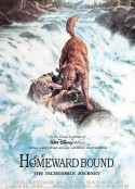 看狗在说话 Homeward Bound: The Incredible Journey            (1993)