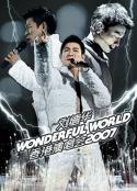 刘德华Wonderful World演唱会    2007