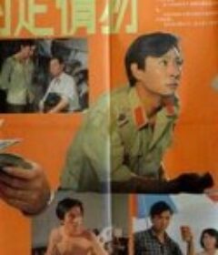 诱人的定情物            (1986)