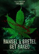 黑森林：糖果屋和420女巫 Hansel &amp; Gretel Get Baked            (2013)