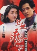 过把瘾            (1994)