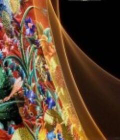 衣尚中国            (2020)