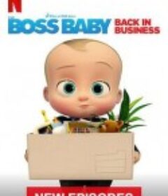 宝贝老板：重围商界 第四季 The Boss Baby: Back in Business Season 4            (2020)