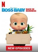 宝贝老板：重围商界 第四季 The Boss Baby: Back in Business Season 4            (2020)