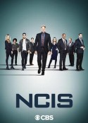海军罪案调查处 第十八季 NCIS: Naval Criminal Investigative Service Season 18            (2020)