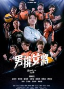 男排女将 男排女將            (2019)