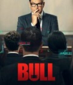 庭审专家 第五季 Bull Season 5            (2020)