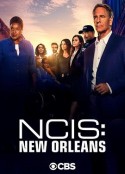 海军罪案调查处：新奥尔良 第七季 NCIS: New Orleans Season 7            (2020)