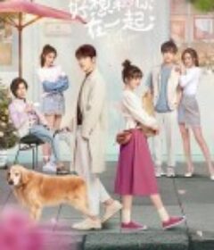 好想和你在一起            (2020)