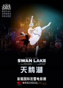 天鹅湖 Royal Opera House Live: Swan Lake            (2012)