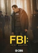 联邦调查局：通缉要犯 第二季 FBI: Most Wanted Season 2            (2020)