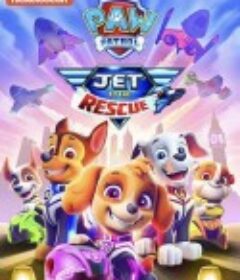 汪汪队立大功：喷气机救援 Paw Patrol: Jet To The Rescue            (2020)