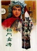 杨门女将            (1960)