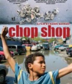 拉丁男孩的天空 Chop Shop            (2007)