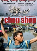 拉丁男孩的天空 Chop Shop            (2007)