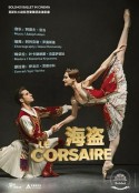芭蕾舞剧：海盗 Bolshoi Ballet: Le Corsaire            (2019)