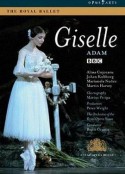 吉塞尔 Giselle            (2006)