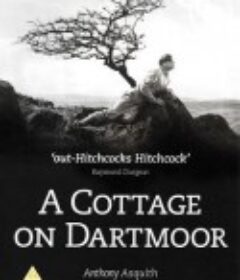 达特穆尔的小屋 A Cottage on Dartmoor            (1929)