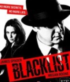 罪恶黑名单 第八季 The Blacklist Season 8            (2020)