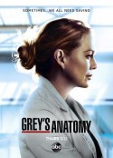 实习医生格蕾 第十七季 Grey's Anatomy Season 17            (2020)