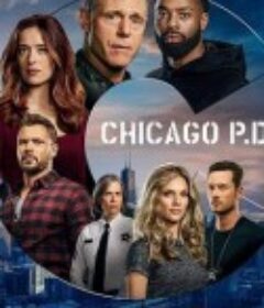 芝加哥警署 第八季 Chicago P.D. Season 8            (2020)