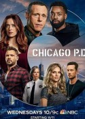 芝加哥警署 第八季 Chicago P.D. Season 8            (2020)