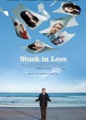 困在爱中 Stuck in Love            (2012)