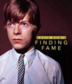 大卫·鲍伊：最初5年 David Bowie: Finding Fame            (2019)