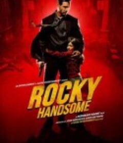铁血柔情 Rocky Handsome            (2016)