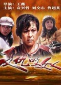 复仇的女人            (1992)