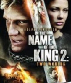 地牢围攻2 In the Name of the King 2            (2011)