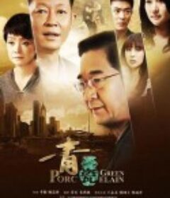 青瓷            (2012)