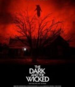 黑暗与邪恶 The Dark and the Wicked            (2020)